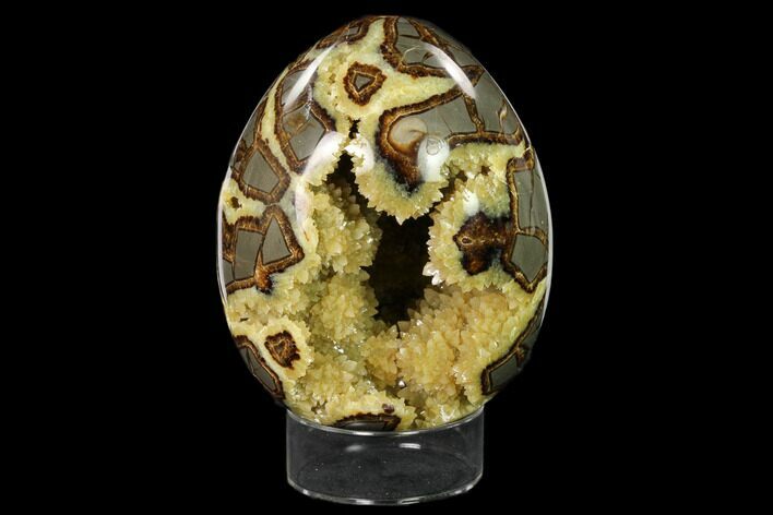 Calcite Crystal Filled Septarian Geode Egg - Utah #149941